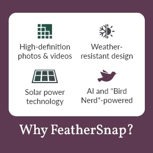 FeatherSnap Scout Wi-Fi Solar Powered Smart Bird Feeder - Automatically Captures HD Pictures and Videos! Best Gift for Bird Watchers! Dual Seed chamber - Feather Snap FeatherSnap