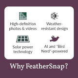 FeatherSnap Scout Wi-Fi Solar Powered Smart Bird Feeder - Automatically Captures HD Pictures and Videos! Best Gift for Bird Watchers! Dual Seed chamber - Feather Snap FeatherSnap