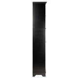 Winsome Wood Alps Tall Cabinet with Glass Door and Drawer Winsome