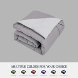 Blue Ridge Home Fashions Comforter Breathable Microfiber Duvet Insert, Summer Cooling Winter Warm Reversible Down Alternative Quilt Comforter for All Season, King, White/Platinum Blue Ridge Home Fashions
