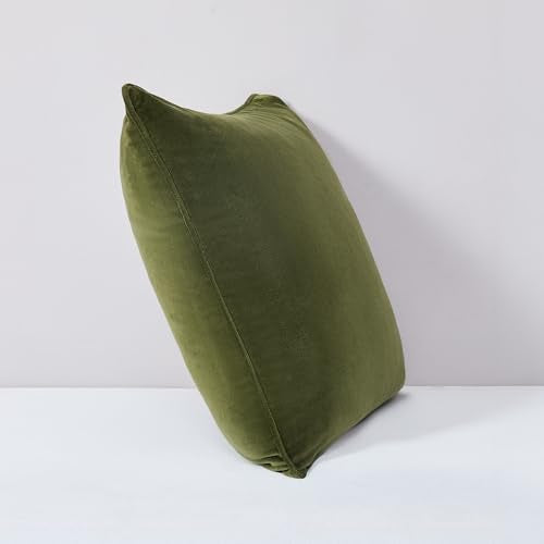Lush Decor x Chuks Collins Terran Velvet Decorative Pillow Cover Single 22" W x 22" L Green - 22x22 Pillow Cover - Velvet Throw Pillows for Bed, Couch or Chair - Luxury Home Decor Lush Decor