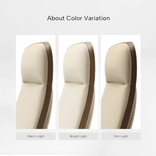 EUREKA ERGONOMIC Alto Leather Desk Chair, Silicone Leather Office Chair with Wheels, High Back Office Chair, Executive Office Chair Comfy for Home & Office, Off-White EUREKA ERGONOMIC