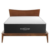 Modway Aveline 16” Gel Infused Memory Mattress with CertiPUR-US Certified Foam Queen Mattress Modway