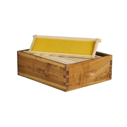 Hoover Hives 10 Frame Medium Super Box for Honey Bee Hives Hoover Hives