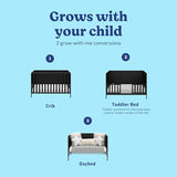 Graco Theo 3-in-1 Convertible Baby Crib - GREENGUARD Gold Certified, Converts to Toddler Bed & Daybed, Fits Standard Full-Size Baby Crib Mattress, 4 Adjustable Mattress Heights (Black)