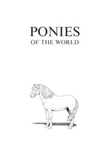 Big Book of Horses to Color (Dover Animal Coloring Books) Dover Publications