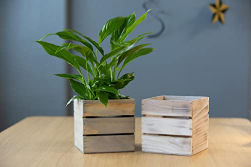 Wood Planter Box with Wine Crate Styled, 5 Inch Square, Rustic Barn Wood, Plastic Liner, Wedding Flowers Holder, Home and Venue Decor, (5x5 Wine Crate Set of 4) Collection by Tiffany