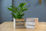 Wood Planter Box with Wine Crate Styled, 5 Inch Square, Rustic Barn Wood, Plastic Liner, Wedding Flowers Holder, Home and Venue Decor, (5x5 Wine Crate Set of 4) Collection by Tiffany