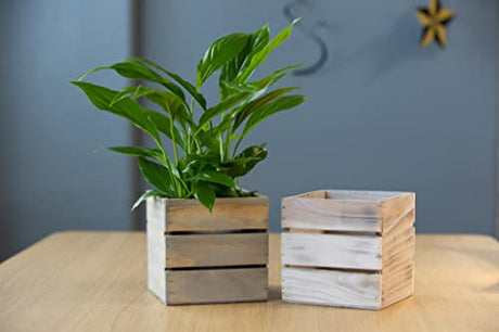 Wood Planter Box with Wine Crate Styled, 5 Inch Square, Rustic Barn Wood, Plastic Liner, Wedding Flowers Holder, Home and Venue Decor, (5x5 Wine Crate Set of 4) Collection by Tiffany