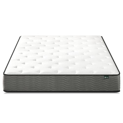 ZINUS 10 Inch True Support Hybrid Mattress [New Version], Queen, Fiberglass Free, Medium Feel, Motion Isolation, Certified Safe Foams & Fabric, Mattress in A Box