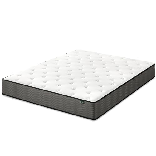 ZINUS 10 Inch True Support Hybrid Mattress [New Version], Queen, Fiberglass Free, Medium Feel, Motion Isolation, Certified Safe Foams & Fabric, Mattress in A Box Zinus