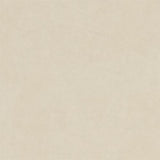 Mr. Kate Tess Sofa with Soft Pocket Coil Cushions, Small Space Living Room Furniture, White Linen Mr. Kate