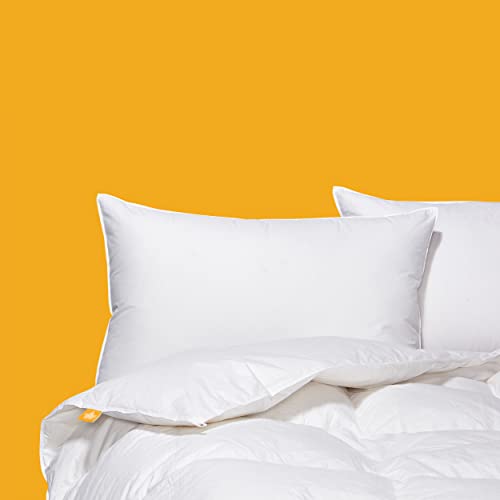 Canadian Down & Feather Co. - Regular Weight 650 Loft White Goose Down Duvet XL King Size - 360 TC Shell 100% Cotton - Filled in Canada Canadian Down & Feather Company