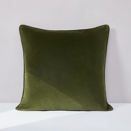Lush Decor x Chuks Collins Terran Velvet Decorative Pillow Cover Single 22" W x 22" L Green - 22x22 Pillow Cover - Velvet Throw Pillows for Bed, Couch or Chair - Luxury Home Decor Lush Decor