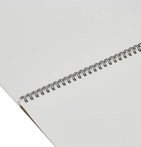 Canson Artist Series Mixed Media Paper, Wirebound Pad, 11x14 inches, 20 Sheets (138lb/224g) - Artist Paper for Adults and Students - Watercolor, Gouache, Graphite, Ink, Pencil, Marker Canson