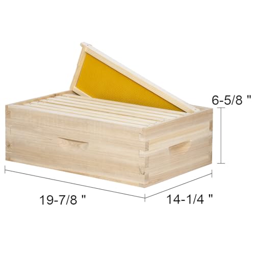 POLLIBEE Beehive 8 Frame Bee Hive Starter Kit, Bee Hives Include 1 Deep Brood Bee Box and 1 Medium Hive Box with Bee Frames and Waxed Beehive Foundation, Complete Bee Hive for Beginner - WoodArtSupply