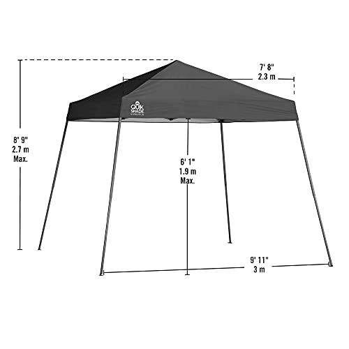 Quik Shade Expedition 10 x 10-Foot Instant Canopy, Slant Leg Outdoor Tent, 64 Square Feet of Shade for 8-12 People - Green Quik Shade