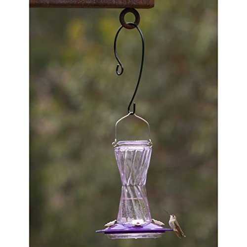 More Birds 38022 Metal Branch Hook Feeders, small, Black More Birds