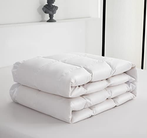 Lightweight Goose Down Comforter/Down Blanket/Duvet Insert for Summer/Warm Weather with Satin Trim, Noiseless & Extra Soft,White Full/Queen Size(90x90inch) Eastwarmth