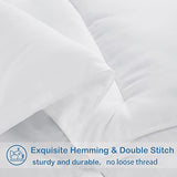 EASELAND Queen Size Down Alternative Comforter - Quilted Duvet Insert for All Seasons, Soft Lightweight with Corner Tabs, Summer Winter Warm Bedding, White 88×88 Inches EASELAND