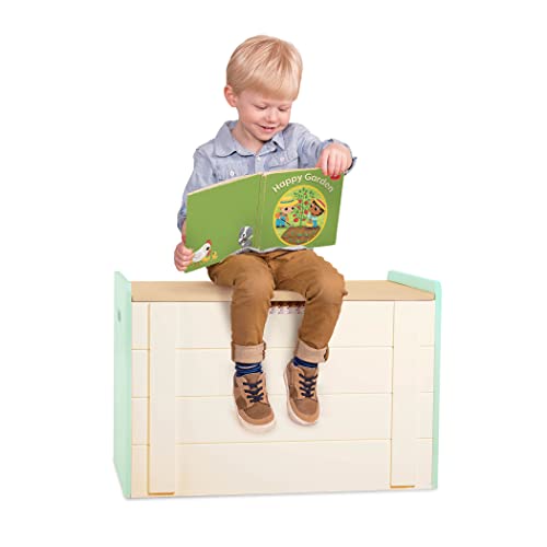 B. toys- B. spaces- Tidy Toybox- Furniture for Toddlers- Wooden chest-Toy Box- Wooden Storage Bench & Organizer- 3 Years +