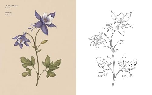 Floriography Coloring Book WoodArtSupply