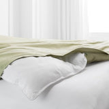 Warm Duvet Insert Full/Queen- All Season 1800 Series Luxury Goose Down Alternative Comforter, Breathable,Hotel Luxury Bedding Comforters -White Pantrypoet
