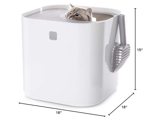 Modkat® Litter Box, Top-Entry, Full Height Seamless Base, Reusable Litter Liner, Sifting Litter Scoop, 2X Bamboo Charcoal Filters - White Modkat