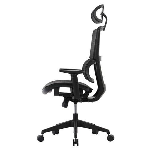 Realspace® Radano Mesh High-Back Executive Office Chair, Black, BIFMA Compliant Realspace