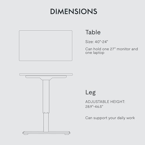 FLEXISPOT Standing Desk 48 Inches Whole-Piece Desk Board Electric Stand Up Desk Height Adjustable Desk for Home Office Sit Stand Desk(Black Frame + 48" Black Top) FLEXISPOT
