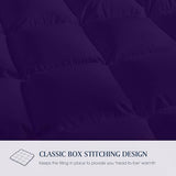 Blue Ridge Home Fashions Comforter Breathable Microfiber Duvet Insert, Summer Cooling Winter Warm Reversible Down Alternative Quilt Comforter for All Season, Full/Queen, Purple/Violet Blue Ridge Home Fashions