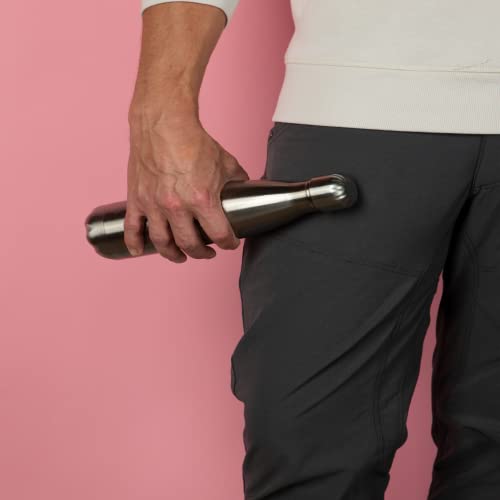 Everydrop by Whirlpool Ice and Water Refrigerator Filter 1, EDR1RXD1, Single-Pack , Purple EveryDrop