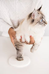 Pearhead Pet Paw Print Keepsake Ornament Kit, Memorial Clay Paw Impression for Dogs & Cats, DIY Hanging Pet Memorial with Ribbons, Pet Keepsake Gift