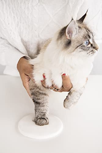 Pearhead Pet Paw Print Photo Frame With Clay Imprint Kit - Pawprint Making Kit and Photo Display for Cats and Dogs, No-Mess Pawprint Memorial, Gift For Pet Owner, Espresso Pearhead