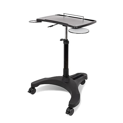EHO Mobile Laptop Standing Desk Carts on Wheels with Stationery Storage, Pneumatic, Height Adjustable Rolling Stand, Sit to Stand Computer Cart, Workstation for Home, Office, Medical and School EHO