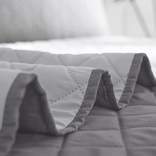 Easy-Going Twin Size Reversible Quilt Set with 1 Quilt and 1 Pillow Shams, Soft Bed Quilt Cover, Water Resistant Lightweight Microfiber Bedspread, Stain Resistant, Gray/Light Gray Easy-Going