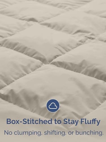 Twin Size, Brown/Beige Alternative Down Comforter - Warm, Lightweight & Breathable Hotel Quality Bedding for Men, Women, Kids & Teens - All Season Oversized Cooling Microfiber Duvet Insert Comforter CGK Unlimited