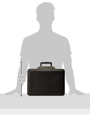 SentrySafe Fireproof Safe Box with Key Lock, Chest Safe with Carrying Handle to Secure Money, Jewelry, Documents, 0.25 Cubic Feet, 6.3 x 15.3 x 12.1 Inches, 1160 SentrySafe