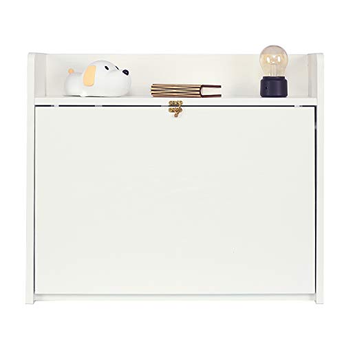 YUSING Wall Mounted Table, Multifunctional Fold Down Wall Mounted Laptop Computer Desk with Storage Compartments for Home, Office, White YU YUSING