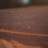 Gazelle Tents G6 8 Person 12 by 12 Pop Up 6 Sided Portable Hub Outdoor Gazebo Screen Canopy Tent with Large Main Door and Screens, Desert Sand Gazelle