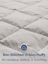 Queen Size, Light Gray Alternative Down Comforter - Warm, Lightweight & Breathable Hotel Quality Bedding for Men, Women, Kids & Teens - All Season Oversized Cooling Microfiber Duvet Insert Comforter CGK Unlimited