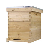 Starter Bee Hive with Frames & Wax Coated Foundations (NU8-1D1M) NuBee Hive