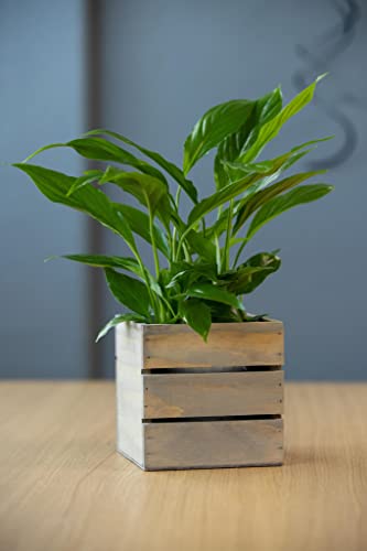 Wood Planter Box with Wine Crate Styled, 5 Inch Square, Rustic Barn Wood, Plastic Liner, Wedding Flowers Holder, Home and Venue Decor, (5x5 Wine Crate Set of 4) Collection by Tiffany