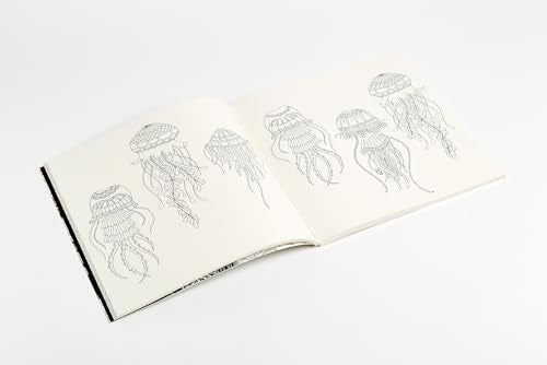 Lost Ocean: An Inky Adventure and Coloring Book for Adults Random House Books for Young Readers