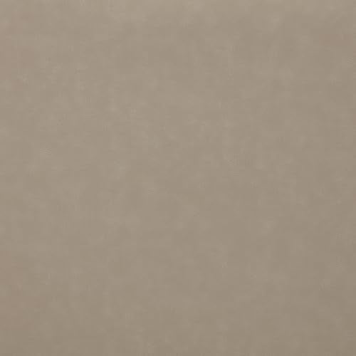 Coaster Home Furnishings - Brentwood - Fabric - Manual Motion Reclining Loveseat with Tufted Accents and Track Arms - Living Room - 30-Inch - Taupe - 610282 Coaster Fine Furniture