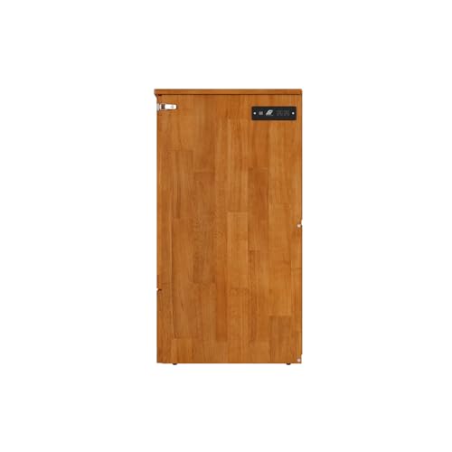 AFI, Marion Queen Wood Murphy Bed Chest with 6" Mattress, Storage Drawer, & Built-in Charger, Light Toffee AFI