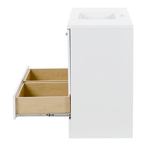 Spring Mill Cabinets Emlyn 48 Inch Bathroom Vanity with White Single Sink Top, 3 Cabinets, 2 Shelves, 2 Drawers, 48.5" W x 18.75" D x 32.89" H, White Spring Mill Cabinets