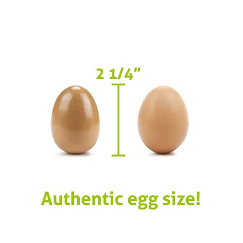 Imagination Generation Wood Eats! Eggcellent Eggs with Real Carton Imagination Generation