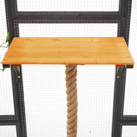 Outdoor Cat House, Diy Cat Enclosure Catio With Double Enter Doors HouseOfZazla
