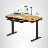 FLEXISPOT Comhar Electric Standing Desk with Drawer Desktop & Adjustable Frame w/USB Charge Ports (Bamboo-Look Laminate/Black, Wood) FLEXISPOT